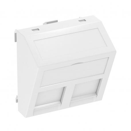Data technology support, 1 module, slanting outlet, type C Pure white; RAL 9010